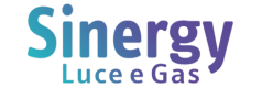 Logo Sinergy